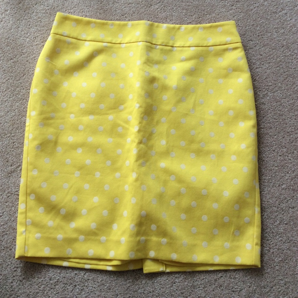 Ann Taylor skirt